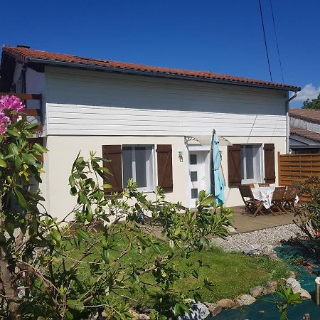 Les Trois Lions Appartement Foix Buitenkant foto