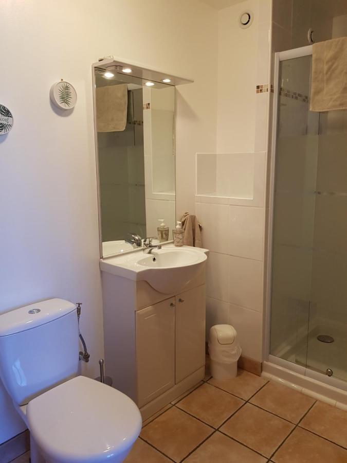 Les Trois Lions Appartement Foix Buitenkant foto