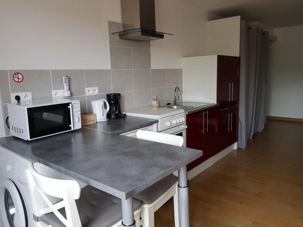 Les Trois Lions Appartement Foix Buitenkant foto
